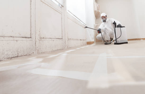 24/7 Emergency Mold Testing experts in Martinsville, VA